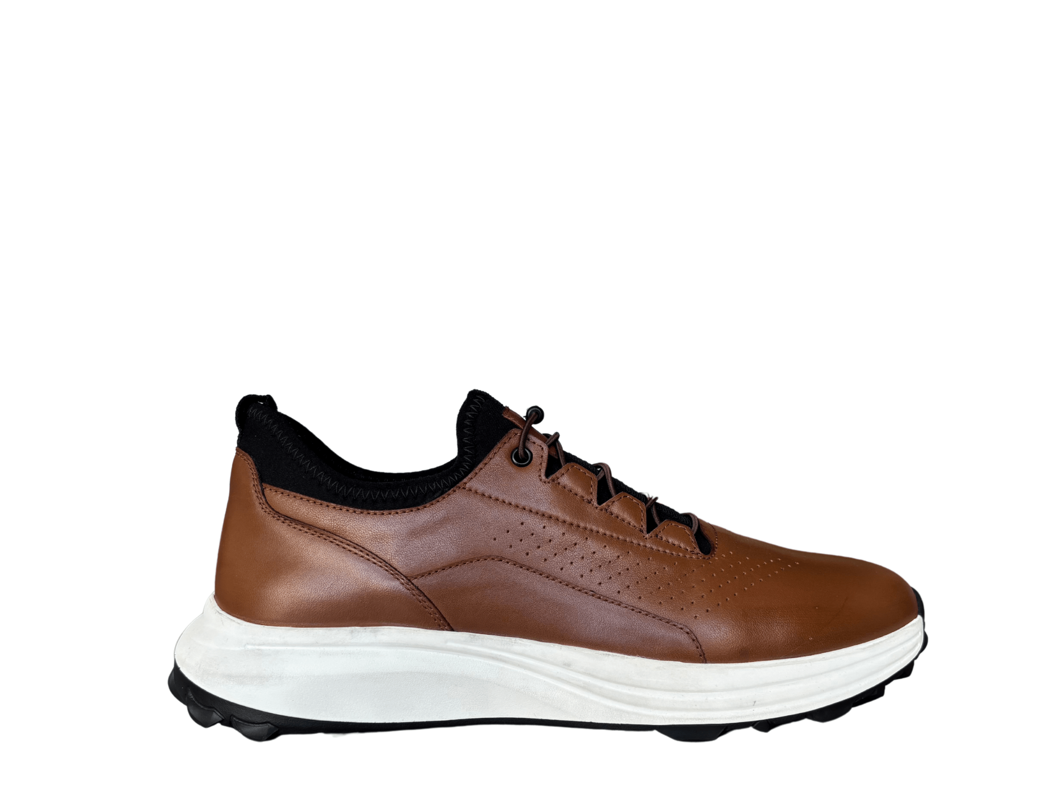 Free html5 bootstrap 4 template