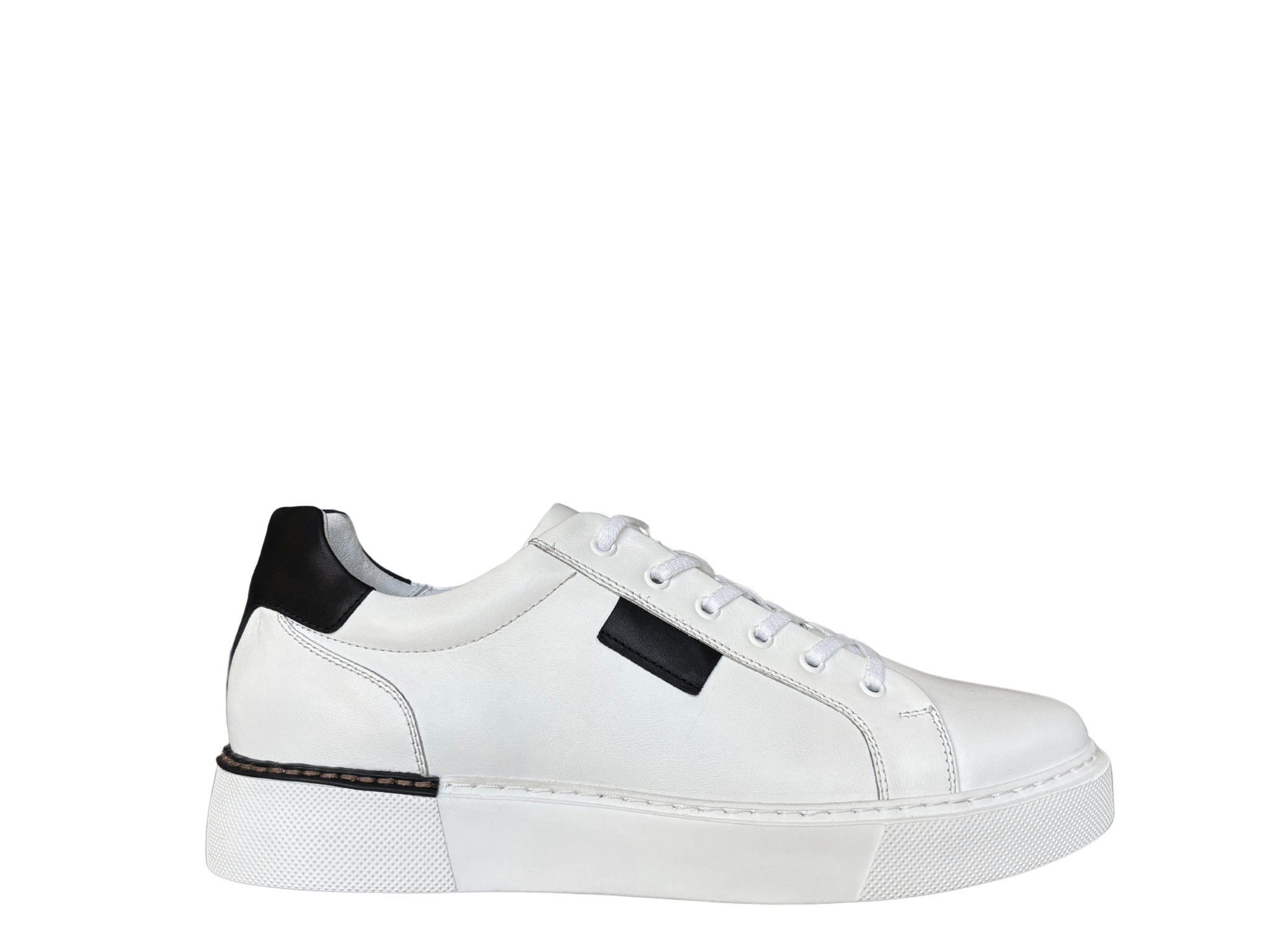 Free html5 bootstrap 4 template